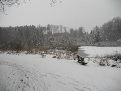 Der Griessee im Winter